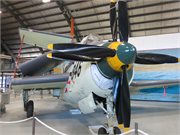 SCG-Albatros-09