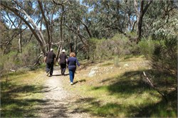 CAV-Castlemaine-23-50