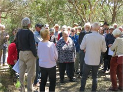 CAV-Castlemaine-23-67